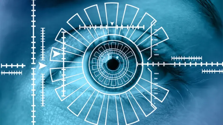 Iris recognition